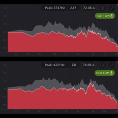 Diagram Barbara Corcoran’s voice in the TEDx Talk (top image) versus as a podcast guest (bottom image).